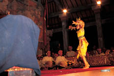 Danses Bali - 14