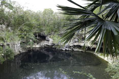 Mexique - Cenote - 48