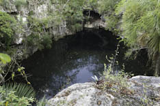 Mexique - Cenote - 52