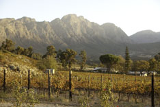 Afrique du Sud, route des vins - 3