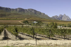 Afrique du Sud, route des vins - 33