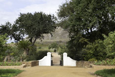 Afrique du Sud, route des vins - 6